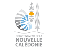 Le Gouvernement de la Nouvelle-Calédonie – IDCNC